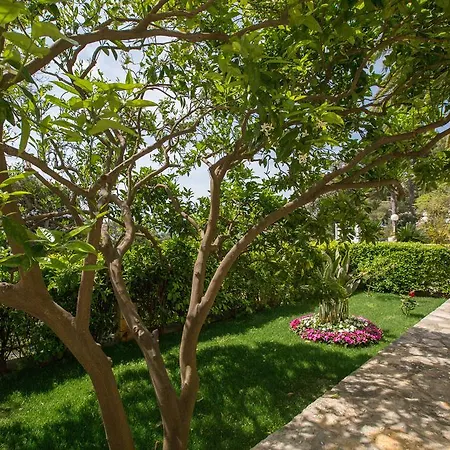 Apartment Esperansa Brela